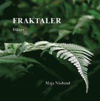 bokomslag Fraktaler : dikter