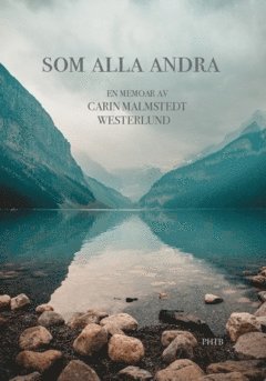 Som alla andra : en memoar