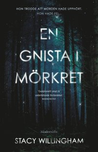 bokomslag En gnista i mörkret