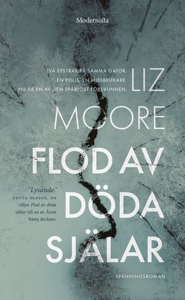 Liz Moore - Flod av döda själar, Pocket