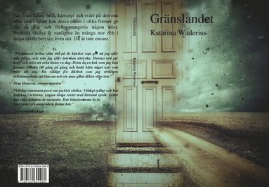 bokomslag Gränslandet