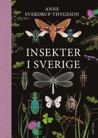 bokomslag Insekter i Sverige