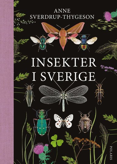 Anne Sverdrup-Thygeson - Insekter i Sverige, Inbunden