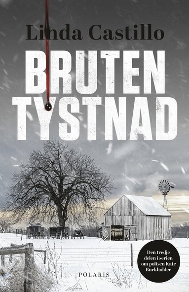 bokomslag Bruten tystnad