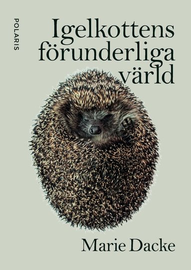Marie Dacke - Igelkottens förunderliga värld, Inbunden