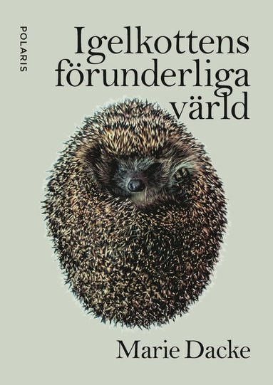 bokomslag Igelkottens förunderliga värld
