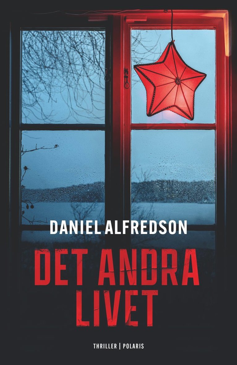 Daniel Alfredson - Det andra livet, Pocket