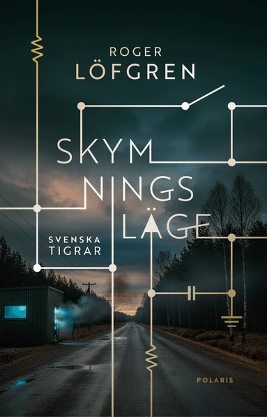 Roger Löfgren - Skymningsläge, Inbunden