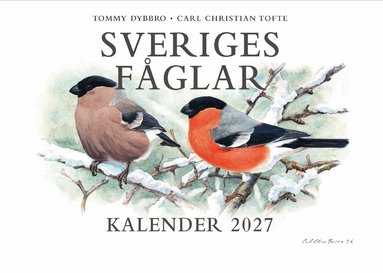 Carl Christian Tofte, Tommy Dybbro - Sveriges fåglar. Kalender 2027, Häftad