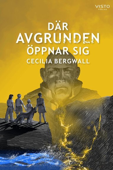 Cecilia Bergwall - Där Avgrunden öppnar sig, Inbunden