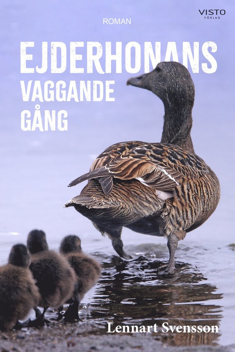 Ejderhonans vaggande gång 1