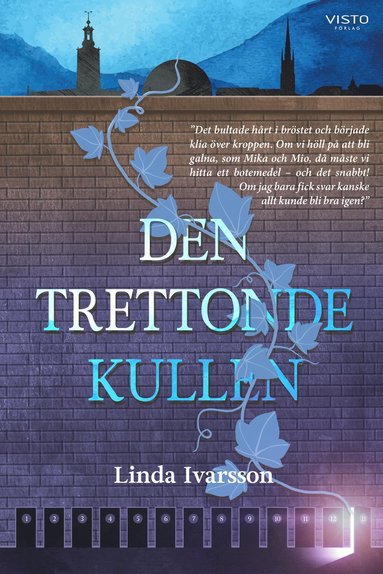 bokomslag Den trettonde kullen