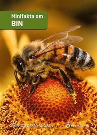 bokomslag Minifakta om bin