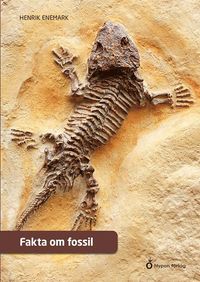 bokomslag Fakta om fossil