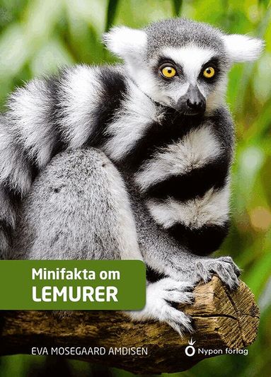 Eva Mosegaard Amdisen - Minifakta om lemurer, Kartonnage