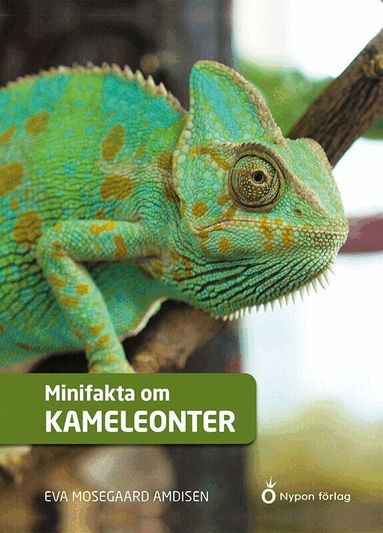 Eva Mosegaard Amdisen - Minifakta om kameleonter, Kartonnage