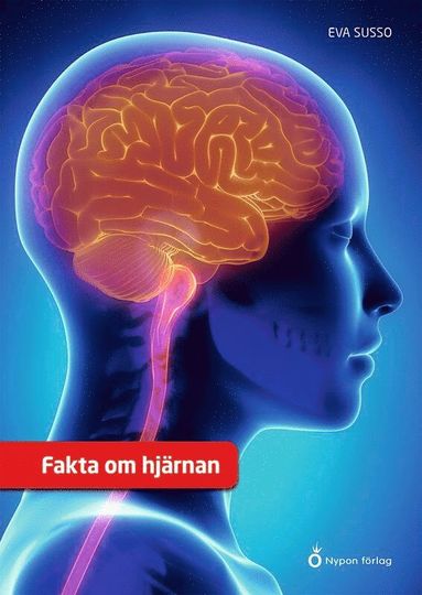 bokomslag Fakta om hjärnan