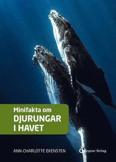 bokomslag Minifakta om djurungar i havet