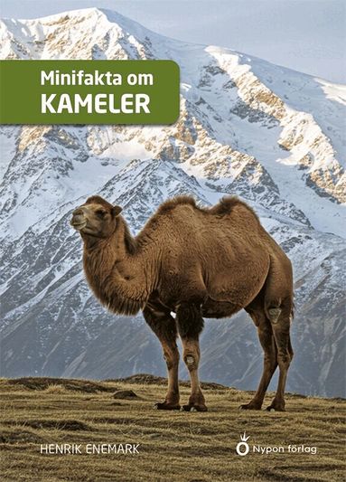 Henrik Enemark - Minifakta om kameler, Kartonnage