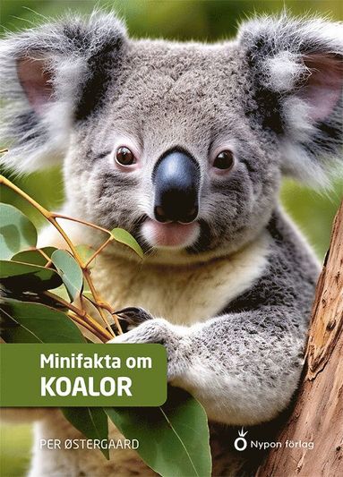 bokomslag Minifakta om koalor