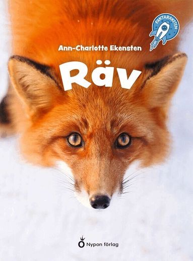 Ann-Charlotte Ekensten - Räv, Kartonnage