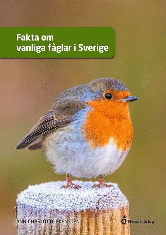 Fakta om vanliga fåglar i Sverige 1