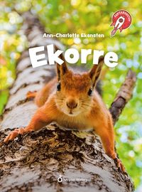 bokomslag Faktaraketen - Ekorre