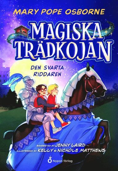 bokomslag Den svarta riddaren