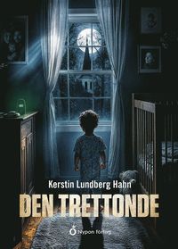 bokomslag Den trettonde