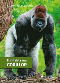 bokomslag Minifakta om gorillor