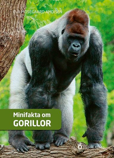 Eva Mosegaard Amdisen - Minifakta om gorillor, Kartonnage