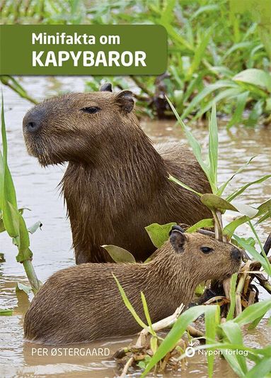 Per Østergaard - Minifakta om kapybaror, Kartonnage
