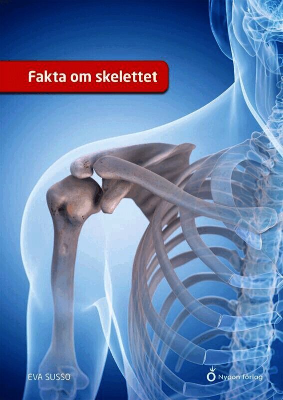 Fakta om skelettet
