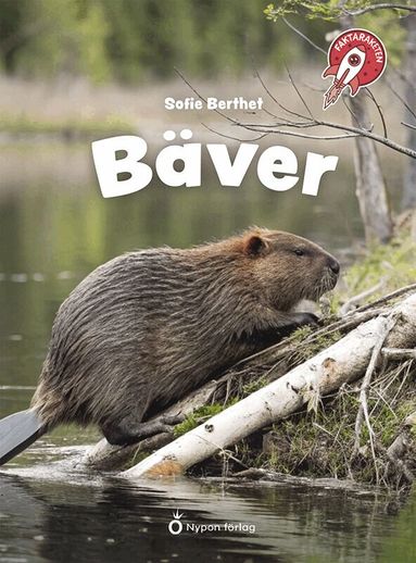 Sofie Berthet - Bäver, Kartonnage