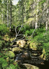 bokomslag The brook : a simple book on stream fishing