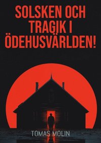 bokomslag Solsken och tragik i Ödehusvärlden!: Närke, Östra Värmland och Västra Västmanland