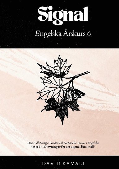 bokomslag Signal: Engelska Årskurs 6: Den Fullständiga Guiden till Nationella Provet i Engelska