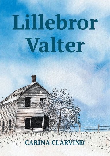 bokomslag Lillebror Valter