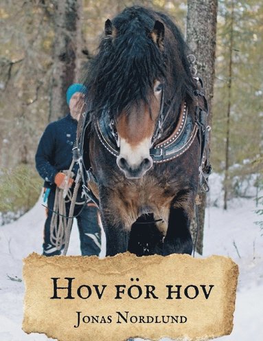 bokomslag Hov för hov