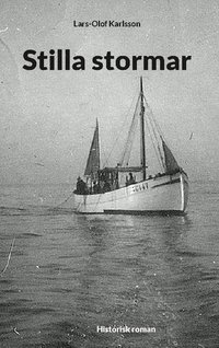 bokomslag Stilla stormar