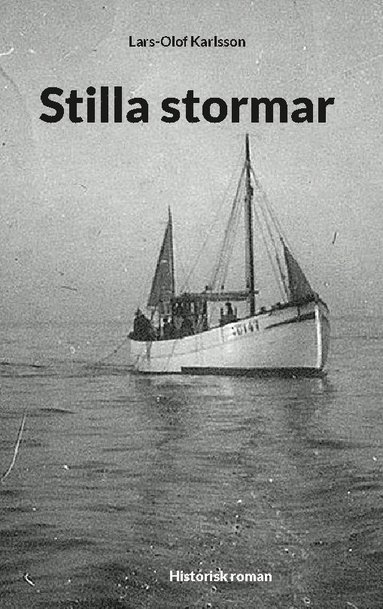 bokomslag Stilla stormar