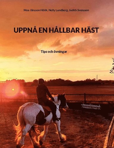 bokomslag UPPNÅ EN HÅLLBAR HÄST : Tips och övningar