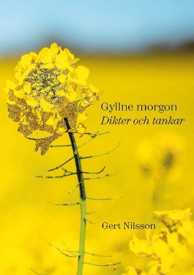 bokomslag Gyllne morgon: Dikter och tankar