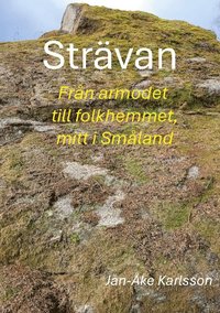 bokomslag Strävan: Från armod till folkhem, mitt i Småland