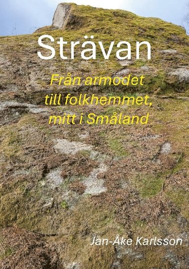 bokomslag Strävan: Från armod till folkhem, mitt i Småland