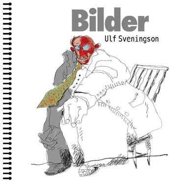 bokomslag Bilder Pictures