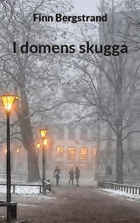 bokomslag I domens skugga