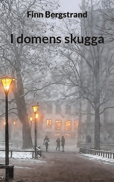 bokomslag I domens skugga