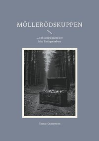 bokomslag Möllerödskuppen : ... och andra händelser från Tyringetrakten