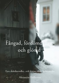 bokomslag Fångad, fördömd, fast och glömd